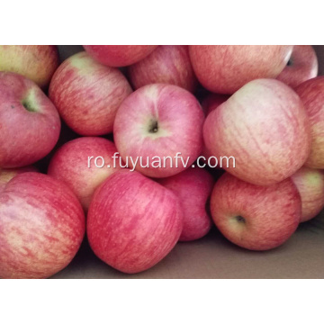 Măr proaspăt Qinguan cu culoare dungi
